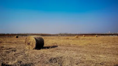 Casholot Kasino Mobiilisovellus